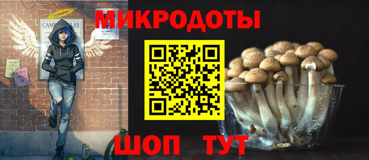 где купить наркотик  Вход с VPN  Каменка  Галлюциногенные грибы Cubensis 