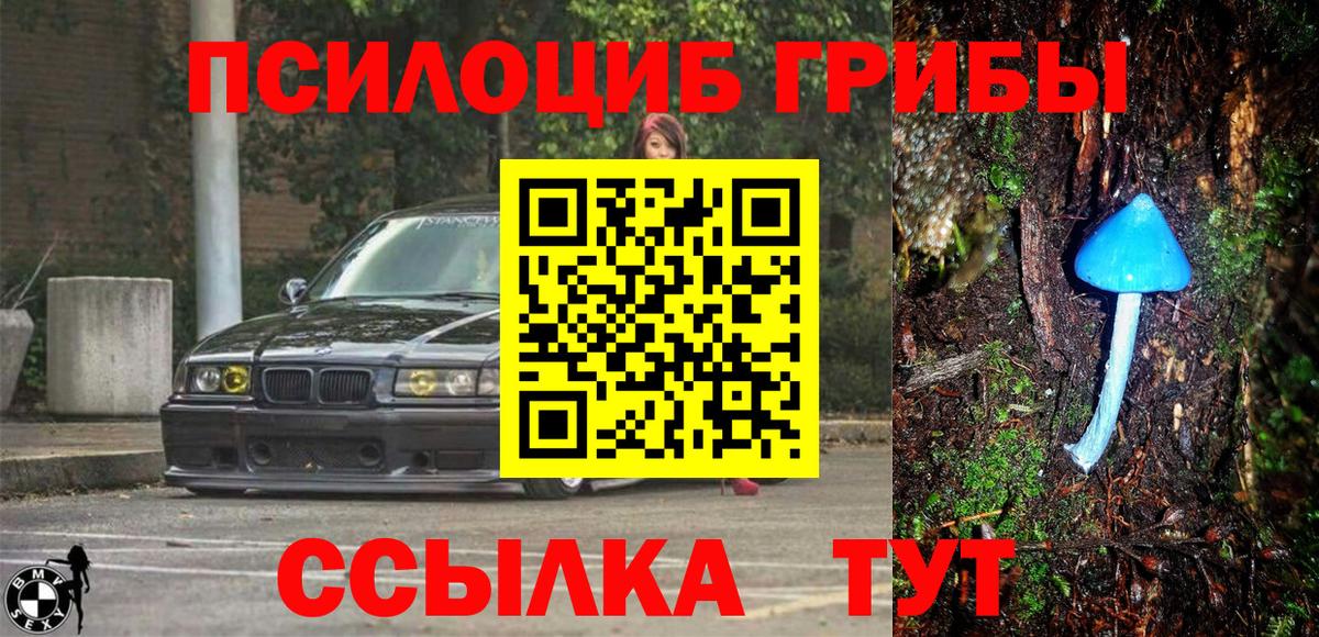 Галлюциногенные грибы GOLDEN TEACHER Каменка