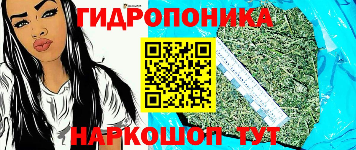 Каннабис SATIVA & INDICA  Канабис ГИДРОПОН  Вход с VPN  Каменка 